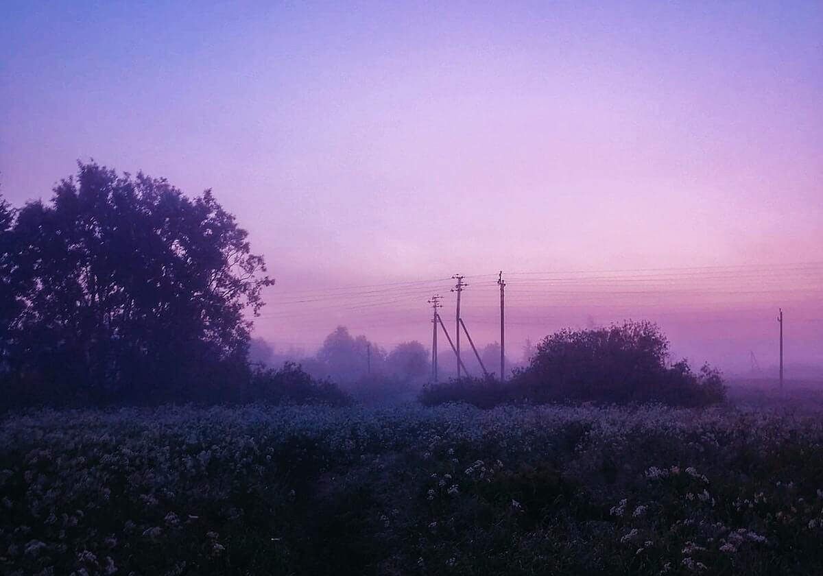 开云官方官网-23场大奖赛创纪录 疫情下F1能否如期办赛仍是未知